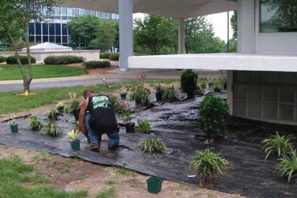 commercial-landscaping