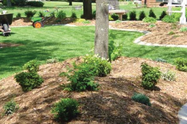 decorative-concrete-landscape