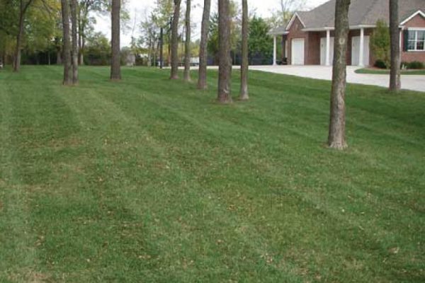kansas-city-residential-lawn-care