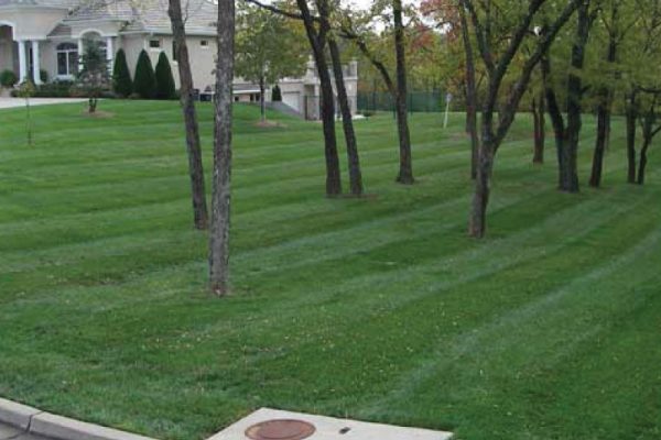 residential-lawn-care-management
