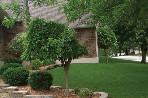 retaining-wall-design retaining-wall-design