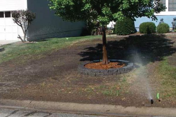 sprinkler-system-installation
