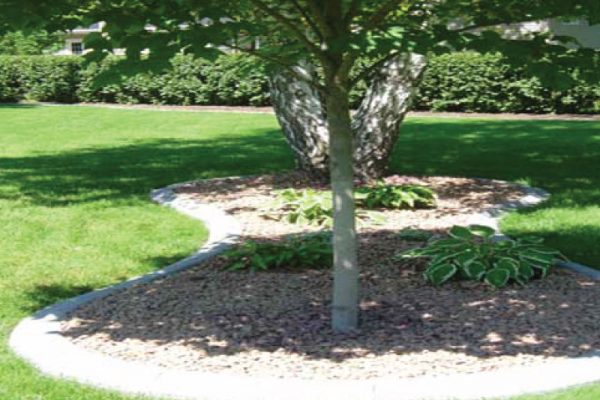 stamped-concrete-landscape