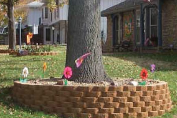 tree-hardscape-garden-box