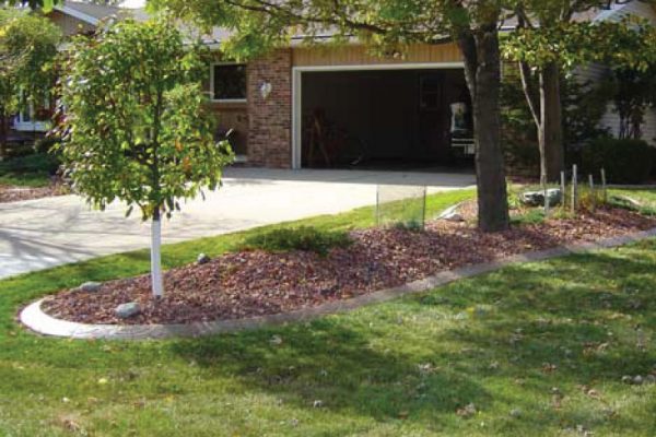 tree-landscaping-residential-kc