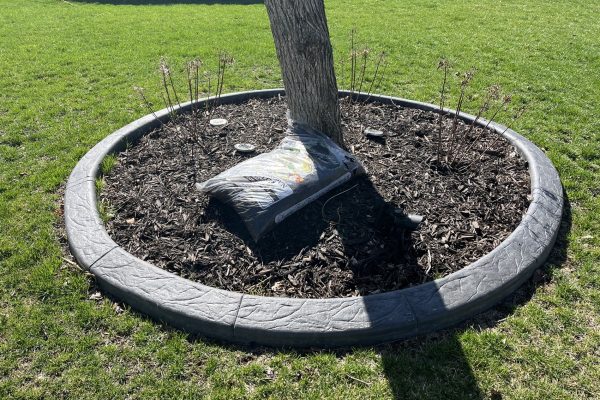 landscaping service kansas city